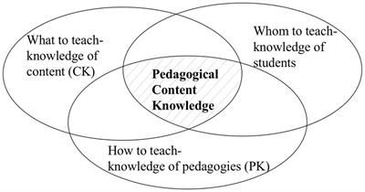 Teaching programming and computational thinking in early childhood education: a case study of content knowledge and pedagogical knowledge